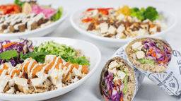 Vegetarian Curated Dozen